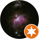 sharkbait1994 profile picture