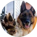 James Hall profile picture